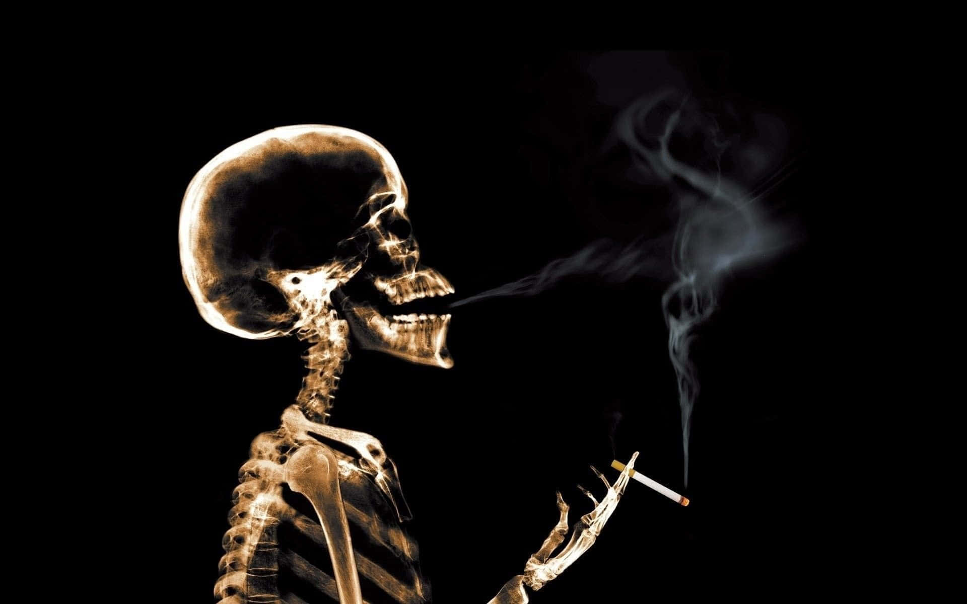 Spooky Halloween Skeleton In An Haunted Forest Background