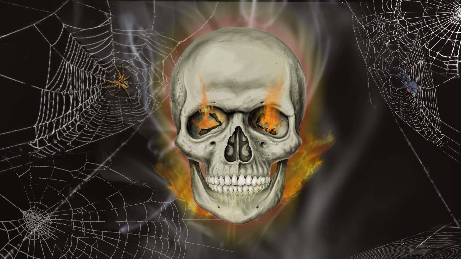 Spooky Halloween Skeleton Sitting On A Bench Background