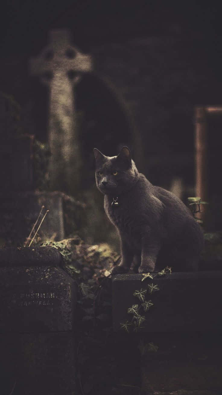Spooky Iphone Lock Screen Background