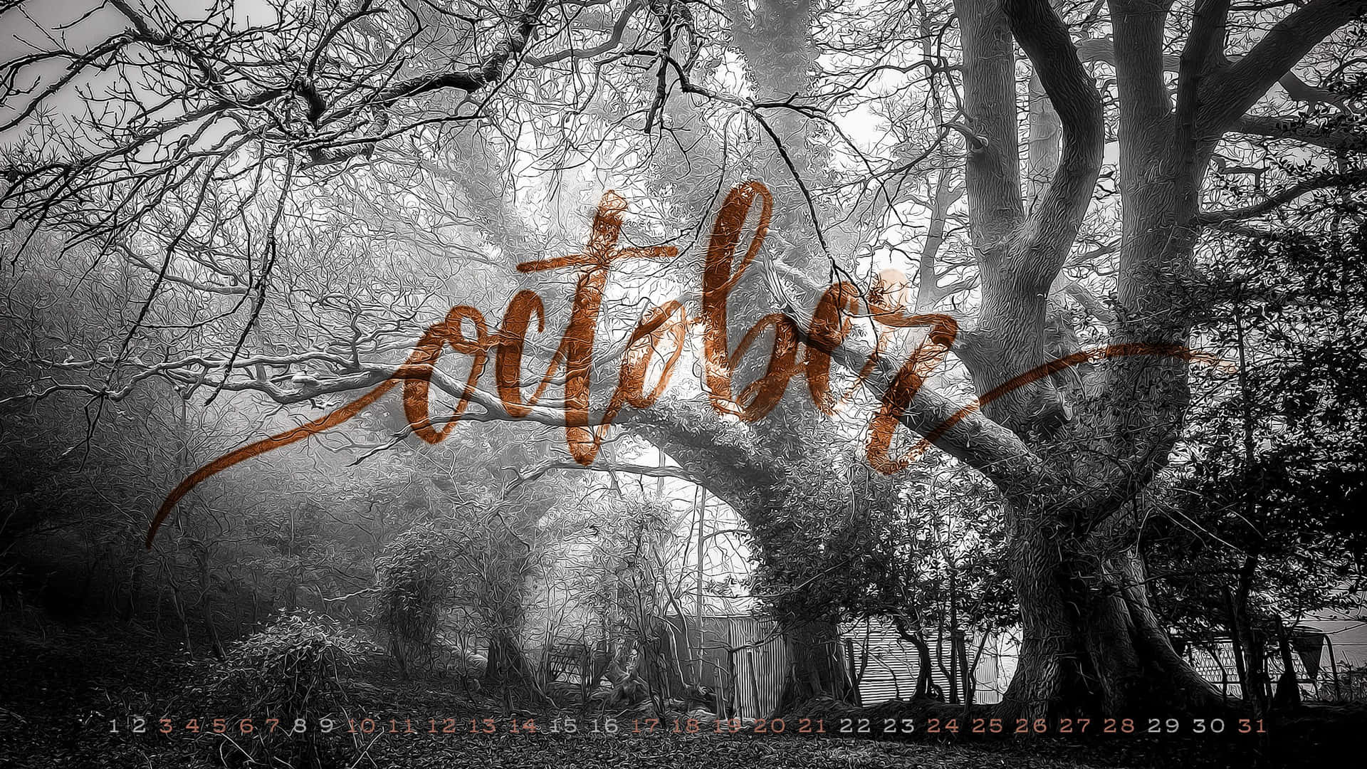 Spooky October Desktop Background