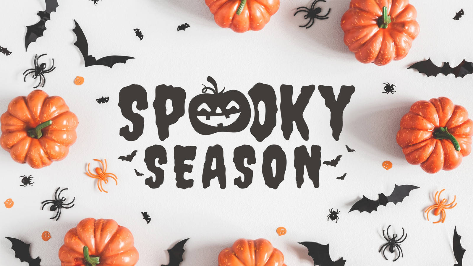 Spooky Season Spiders Bats Background