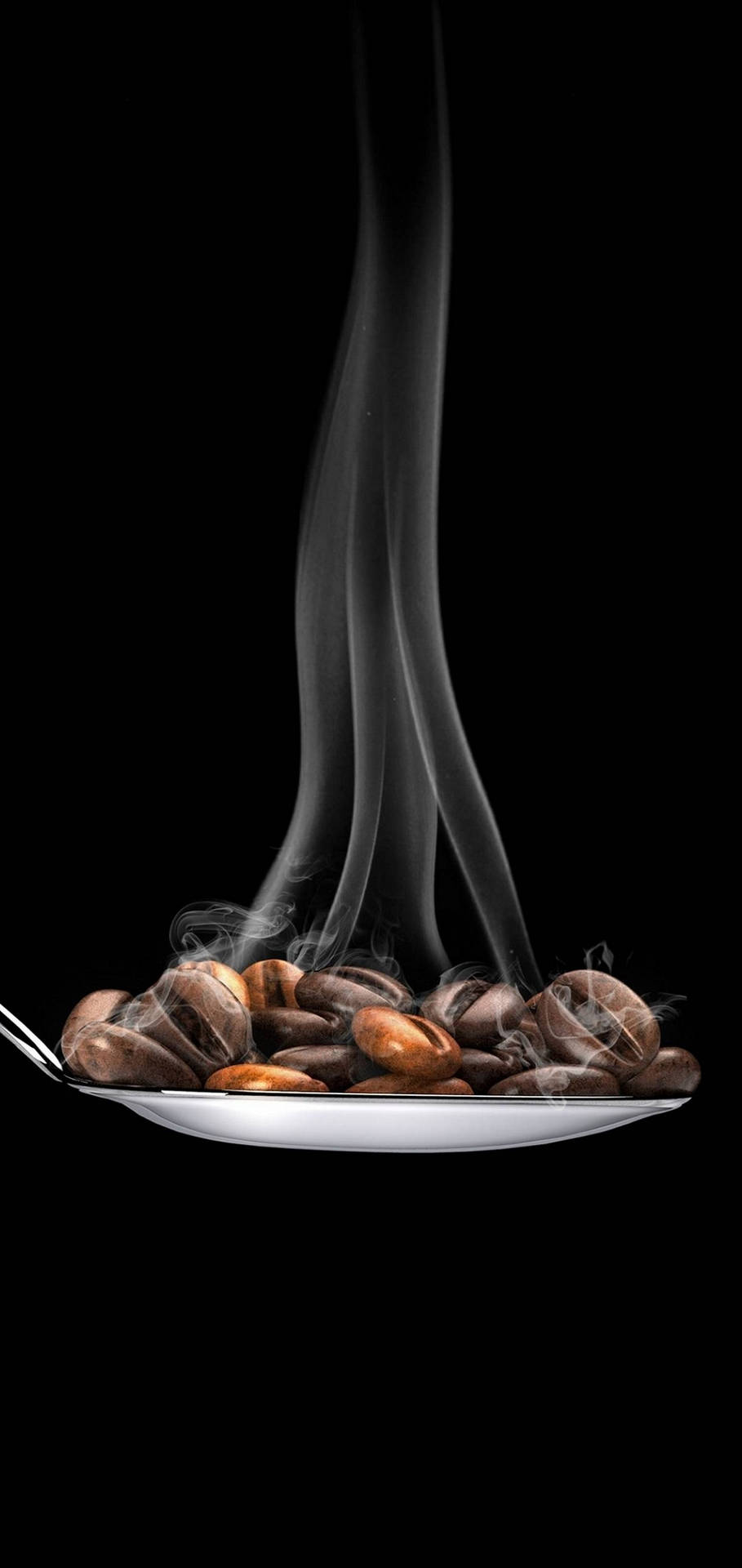 Spoon Holding Coffee Beans