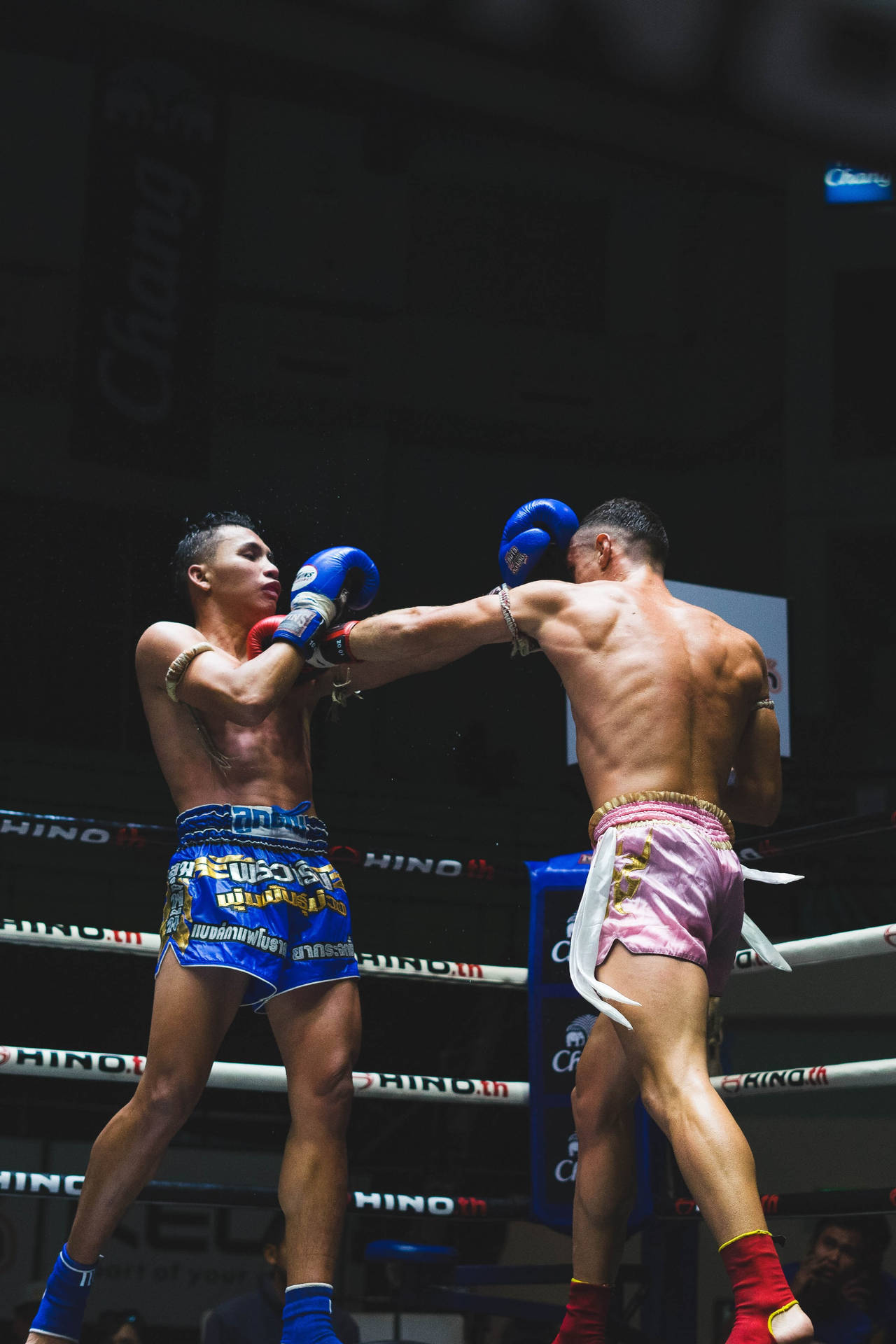 Sport Muay Thai Fighters Background