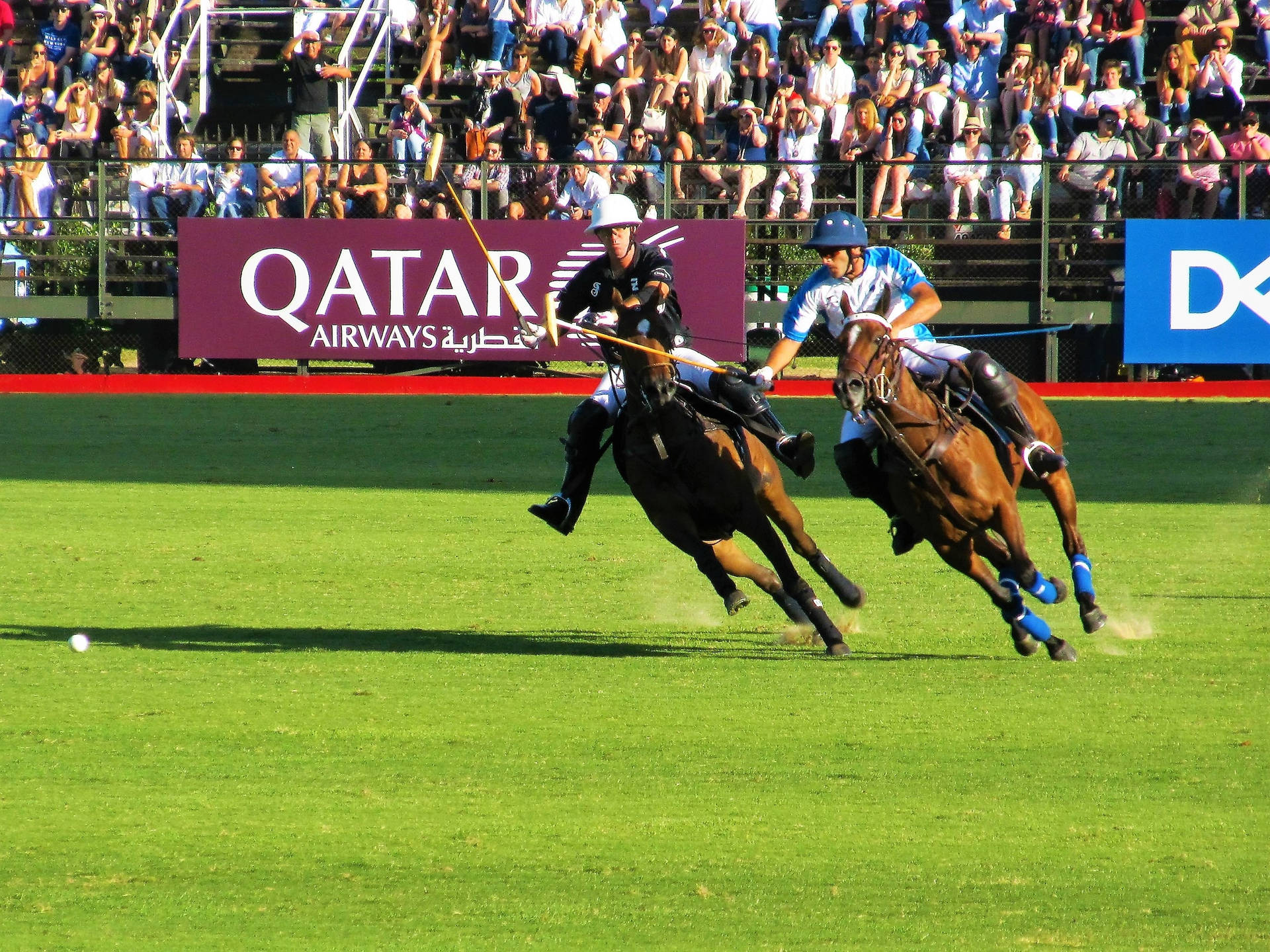 Sport Polo At Santa Maria Background