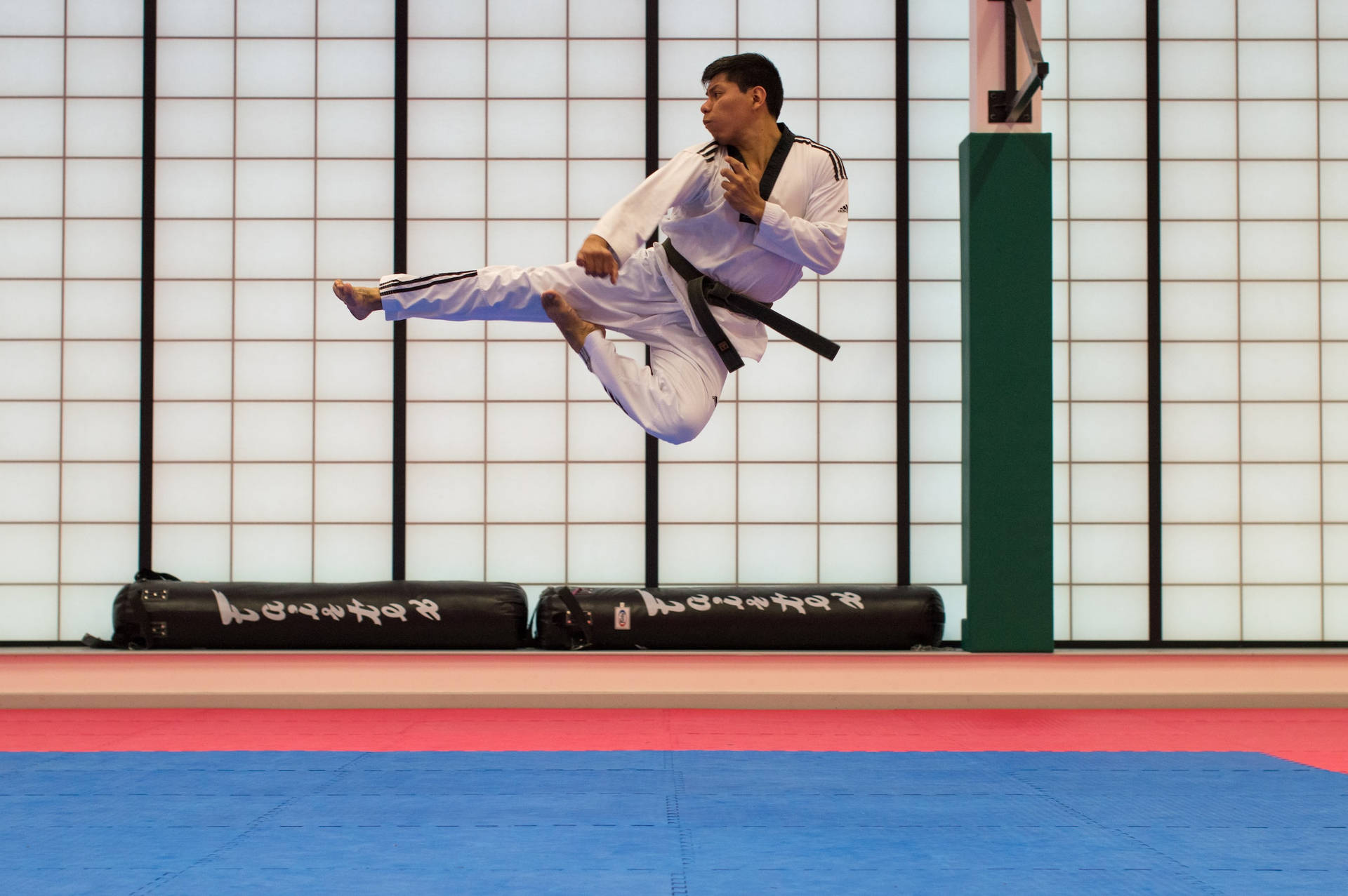 Sport Taekwondo Practitioner Background