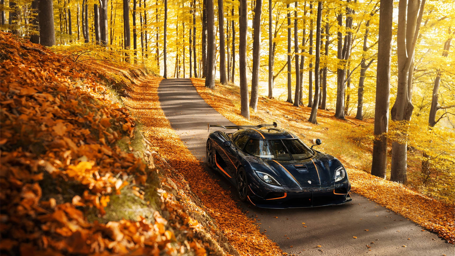 Sports Car In Autumn Background