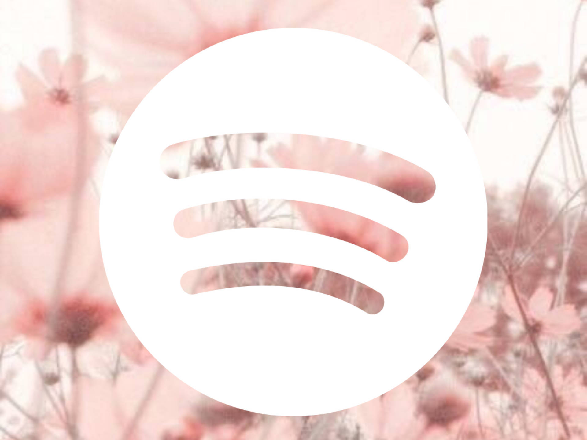 Spotify Pink Flowers Background