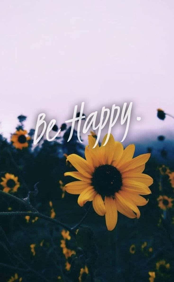 Spread Happiness Everywhere! Background