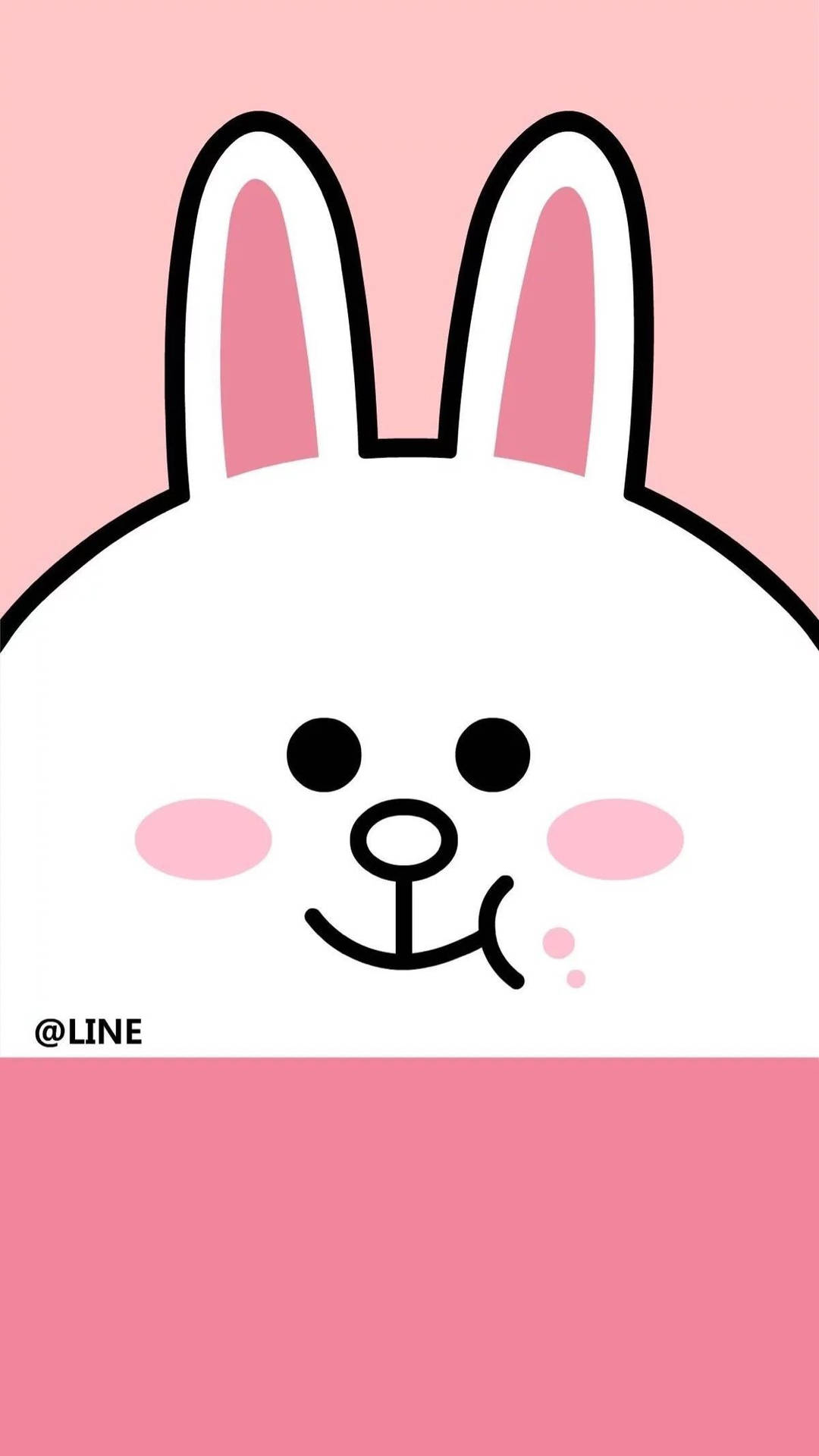 Spread Love With Cony And Her Pink Outfit! Background