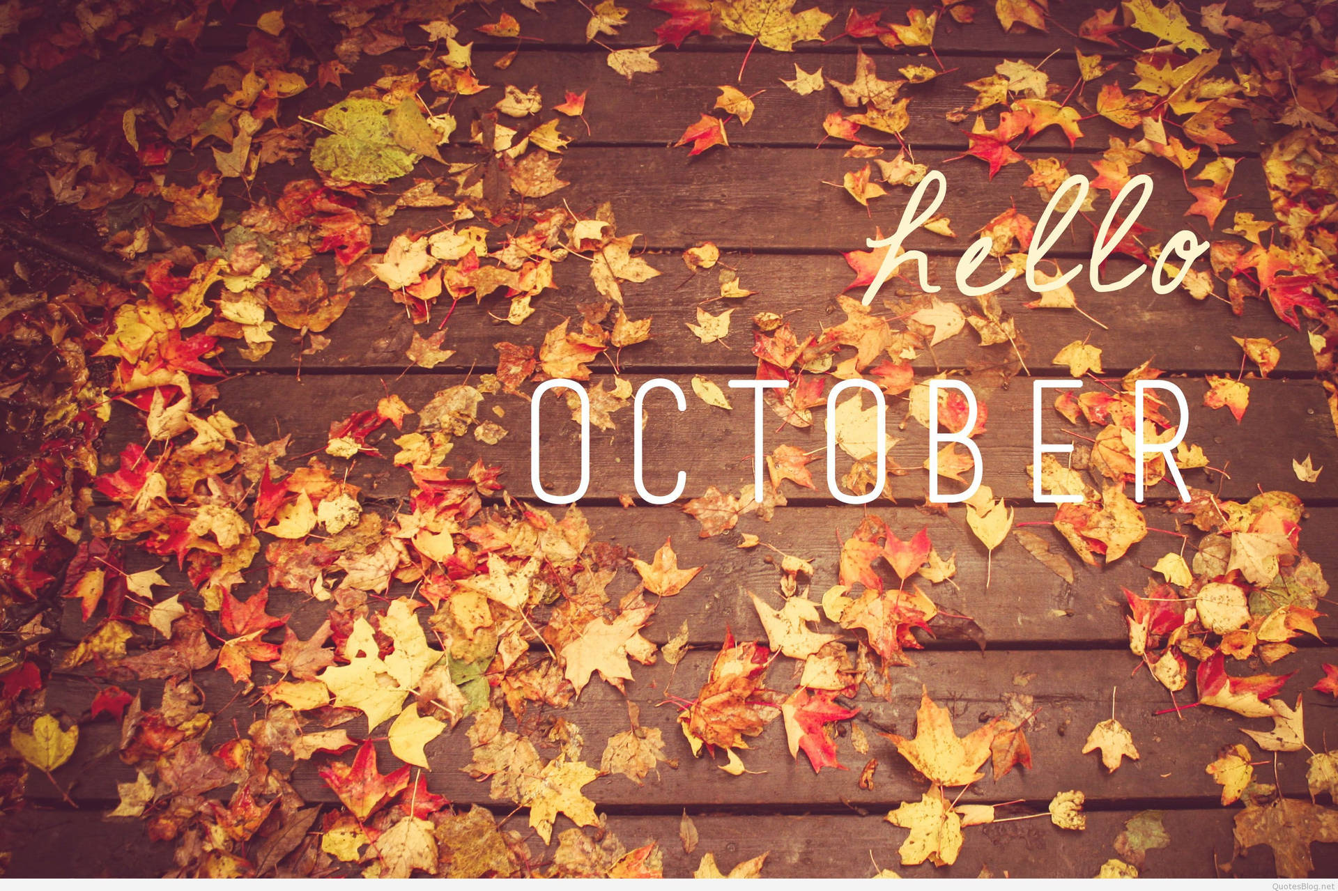 Spread The Love This October Background