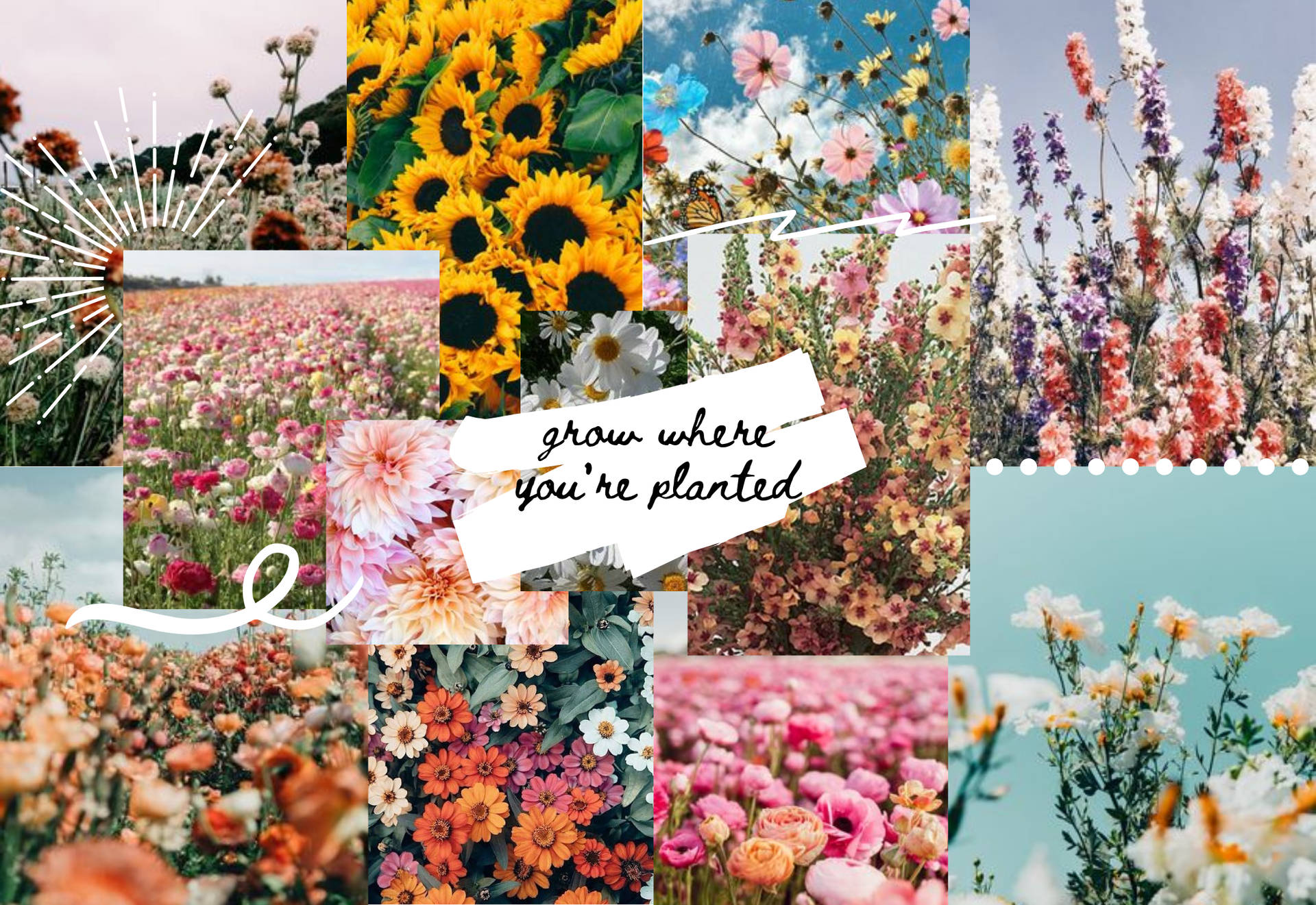 Spring Aesthetic Collage Background