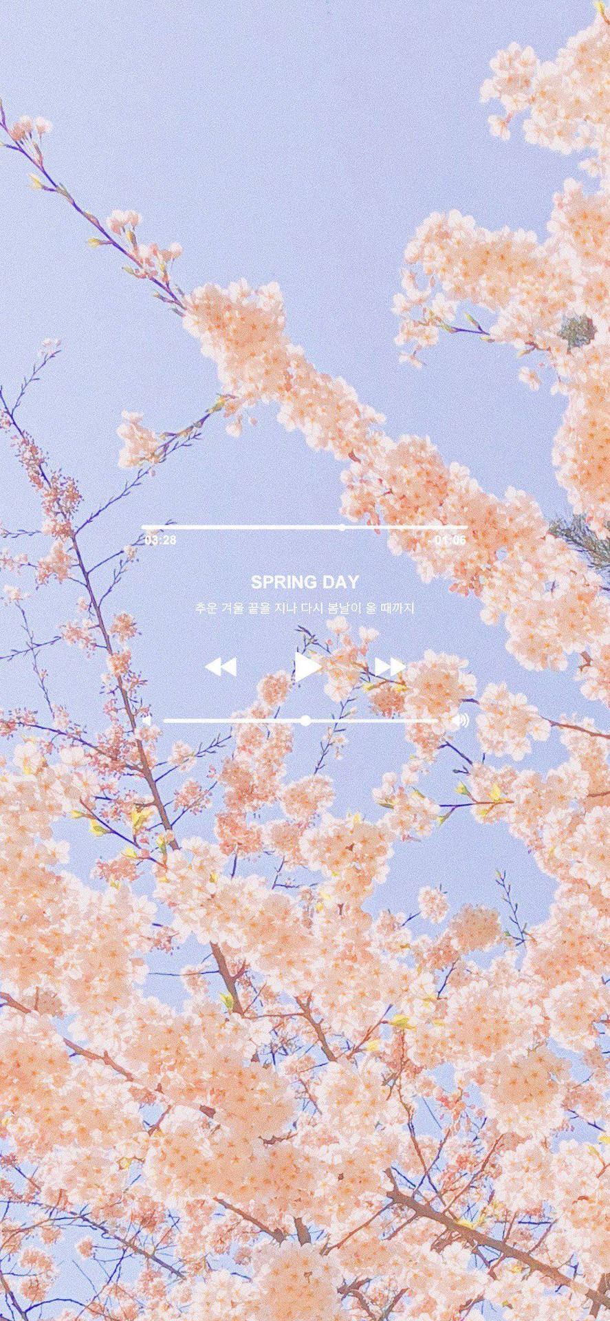 Spring Aesthetic Playlist Background