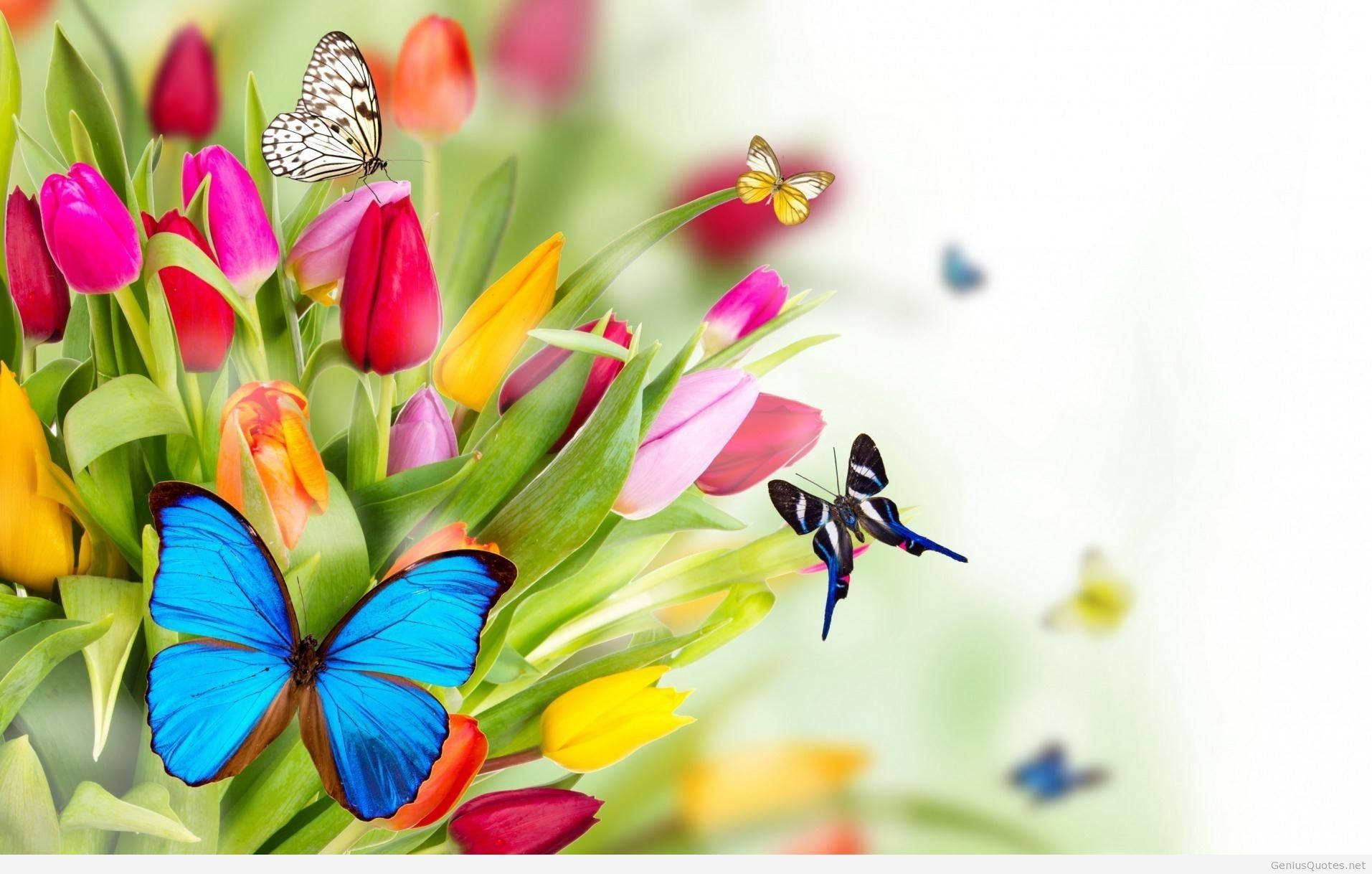 Spring Butterflies Background