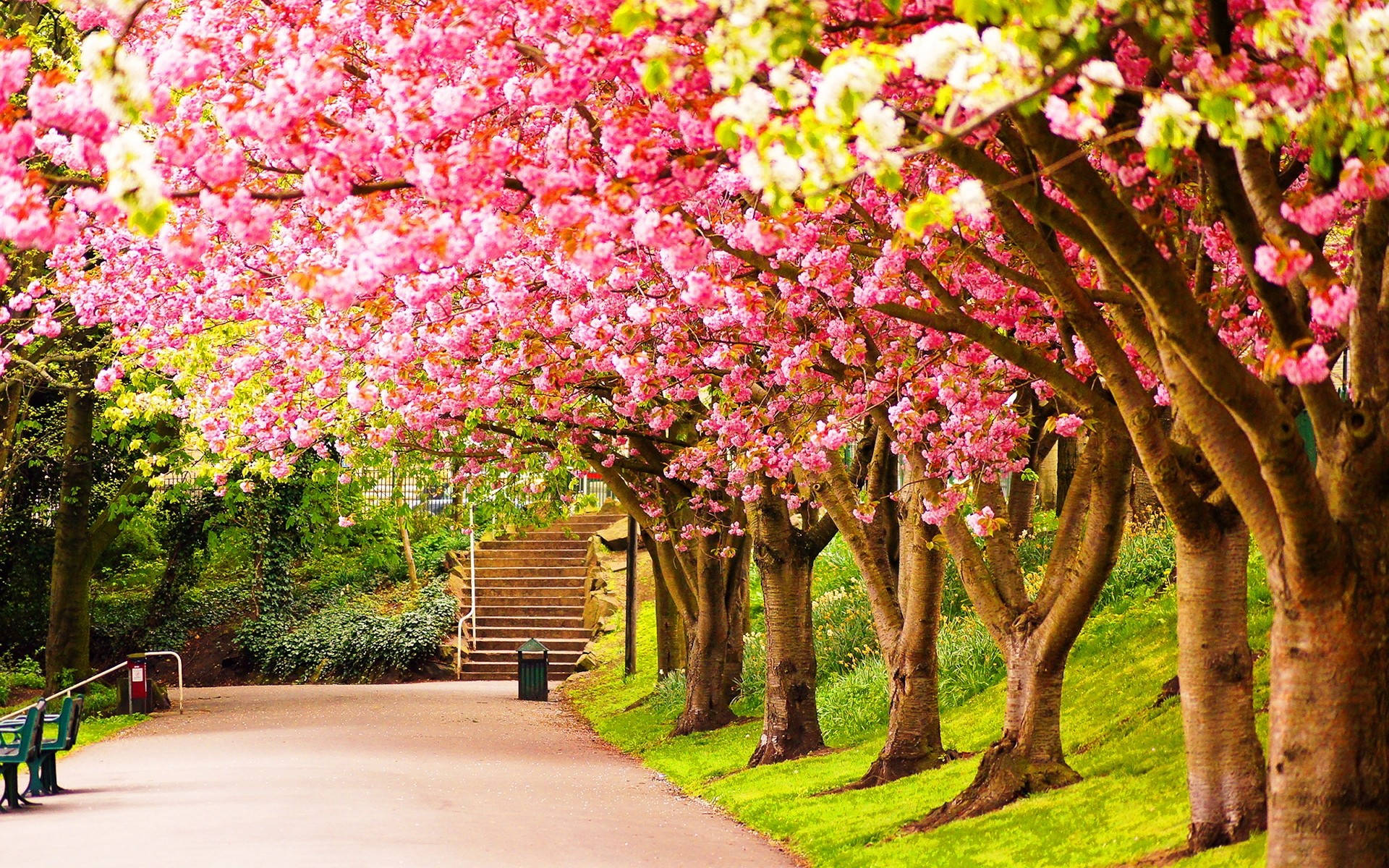 Spring Computer Background Background