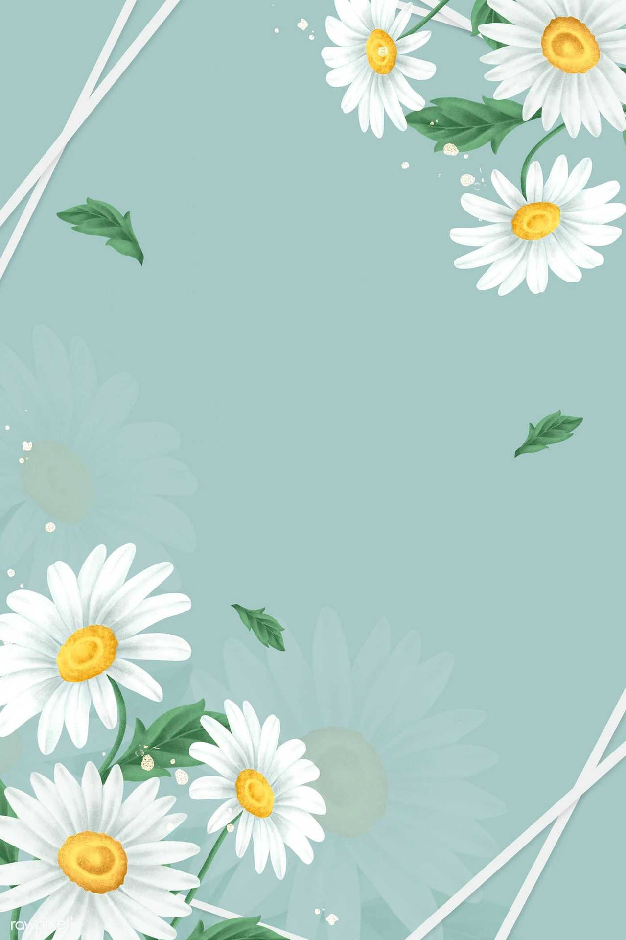 Spring Daisy In Pastel Green Background