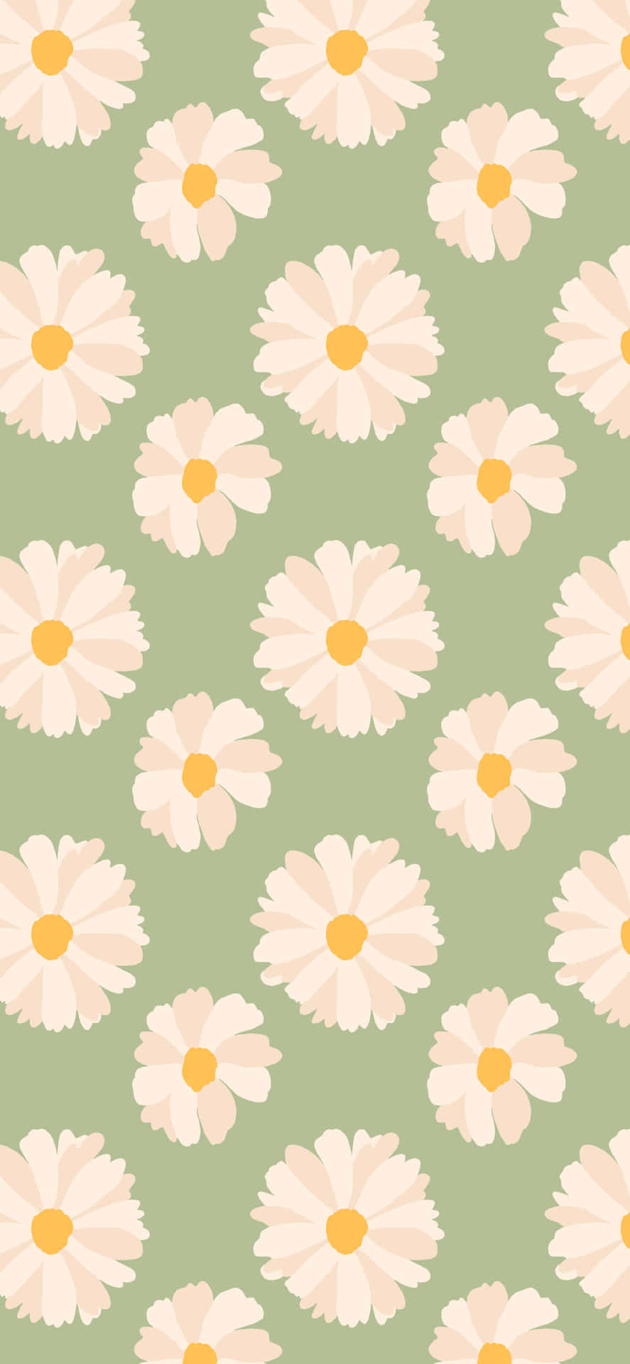 Spring Daisy Iphone Green Background Background