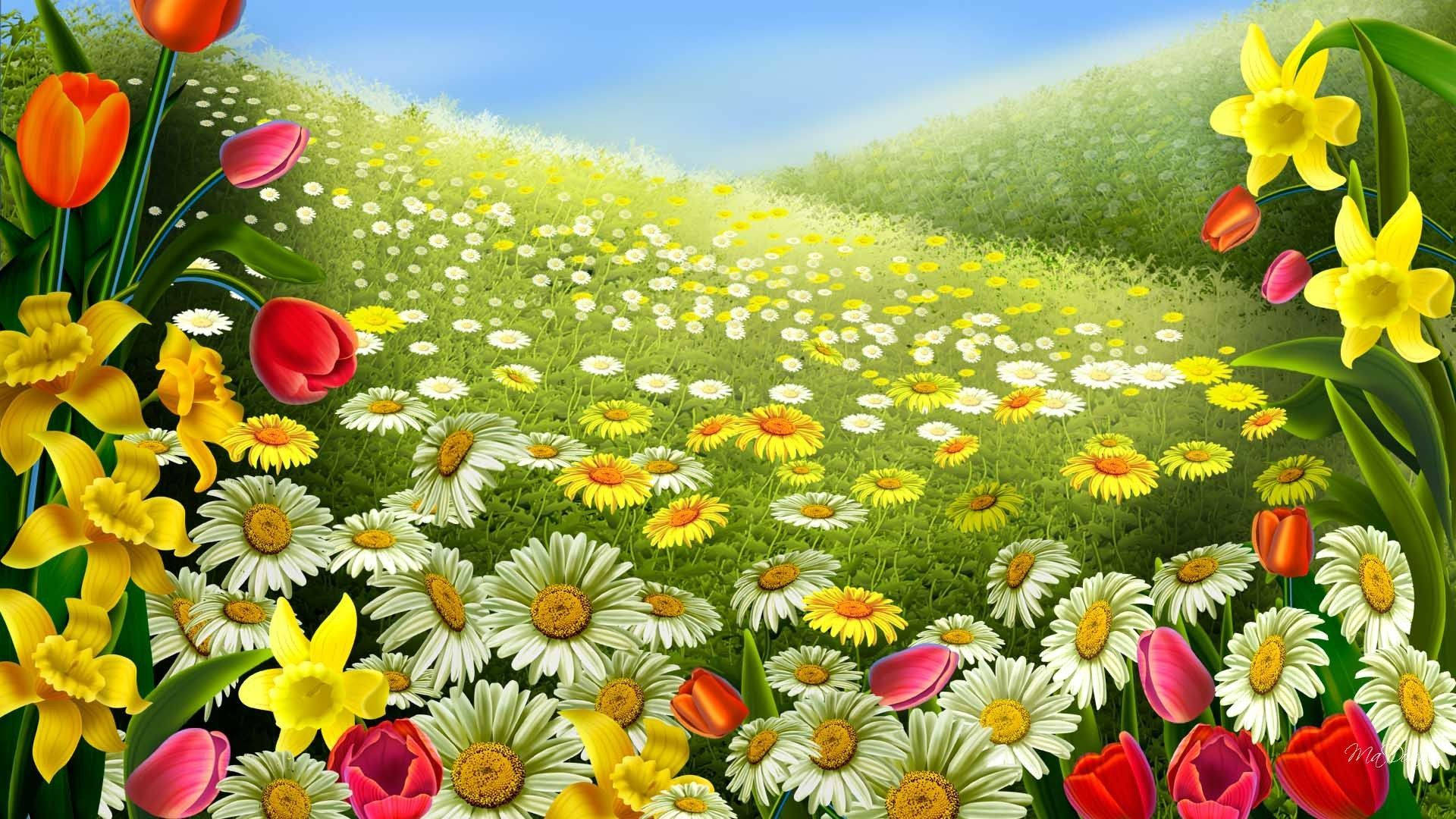 Spring Flowers Field Digital Drawing Background