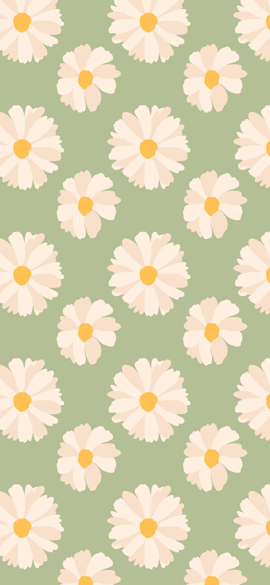 Spring Iphone Daisies Green Background