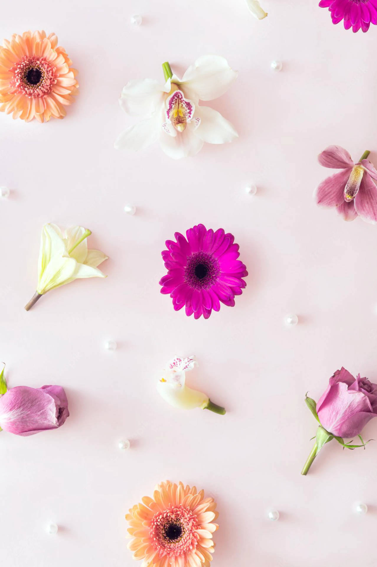 Spring Iphone Pink Flowers Flat Lay Background