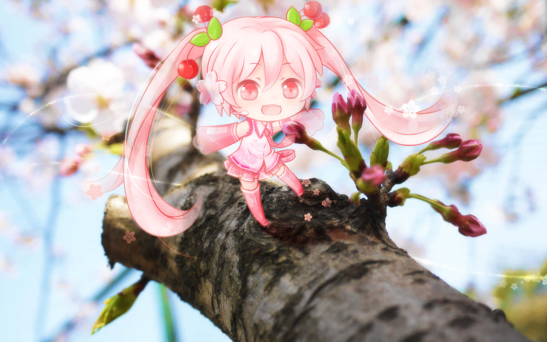 Spring Is In The Air With The Beautiful Sakura Miku