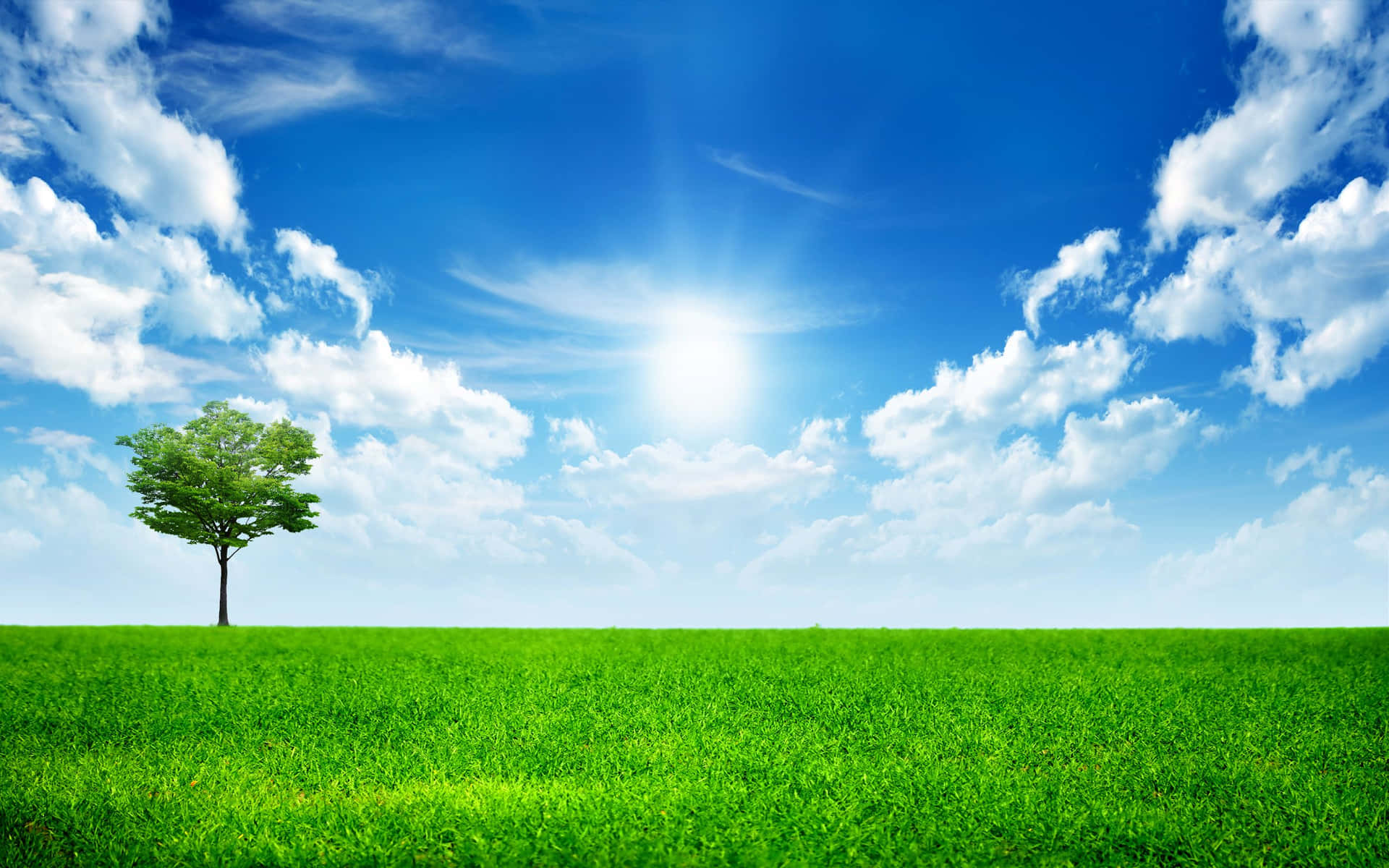 Spring Meadow Under A Sunny Sky Background