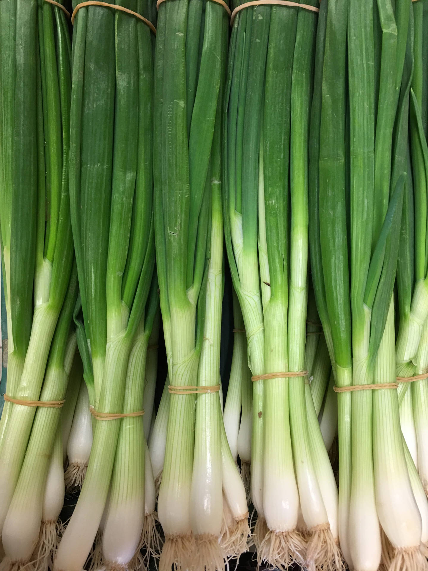 Spring Onion Fresh Vegetable Bundles Background