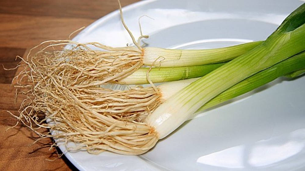 Spring Onion With Long Roots On Plate Background