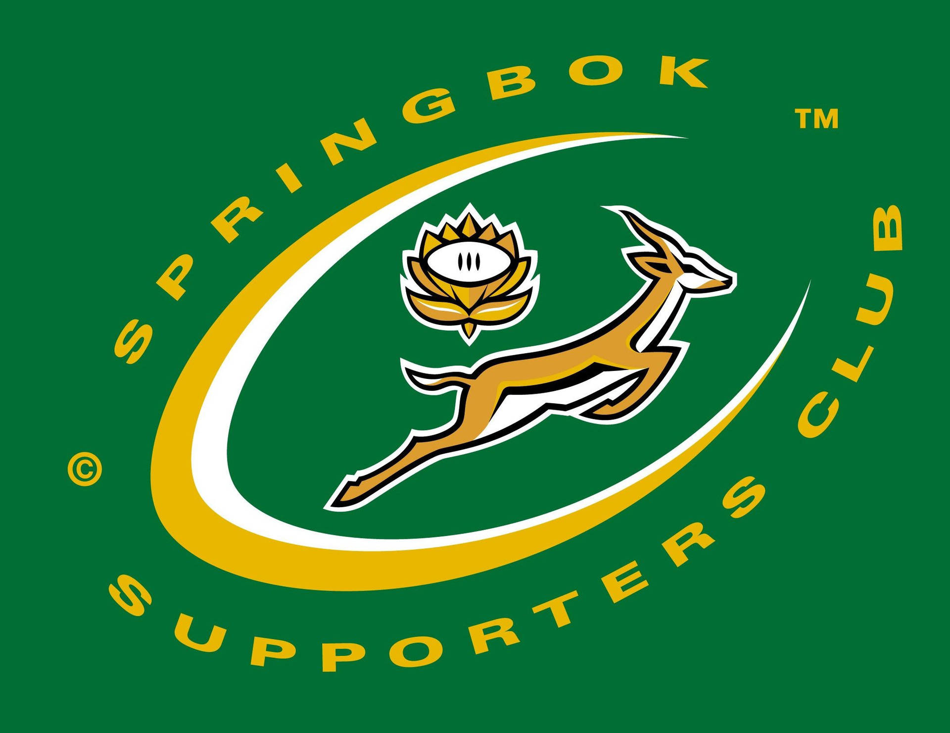 Springbok Rugby Supporters Logo Background
