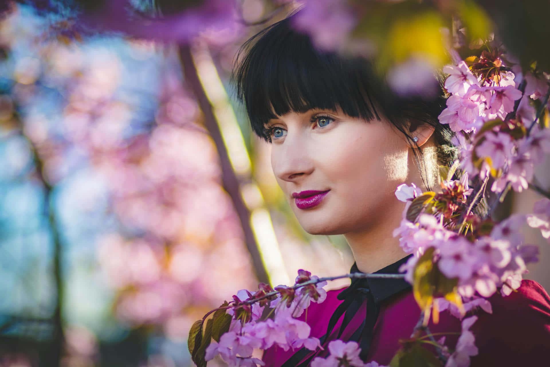 Springtime Beauty Among Blossoms Background