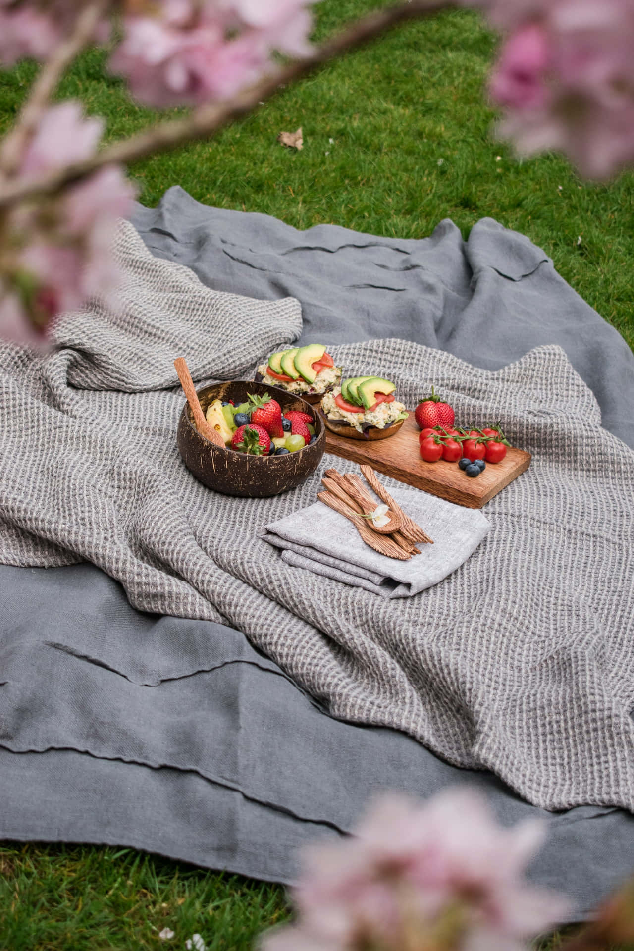 Springtime Picnic Setup Background