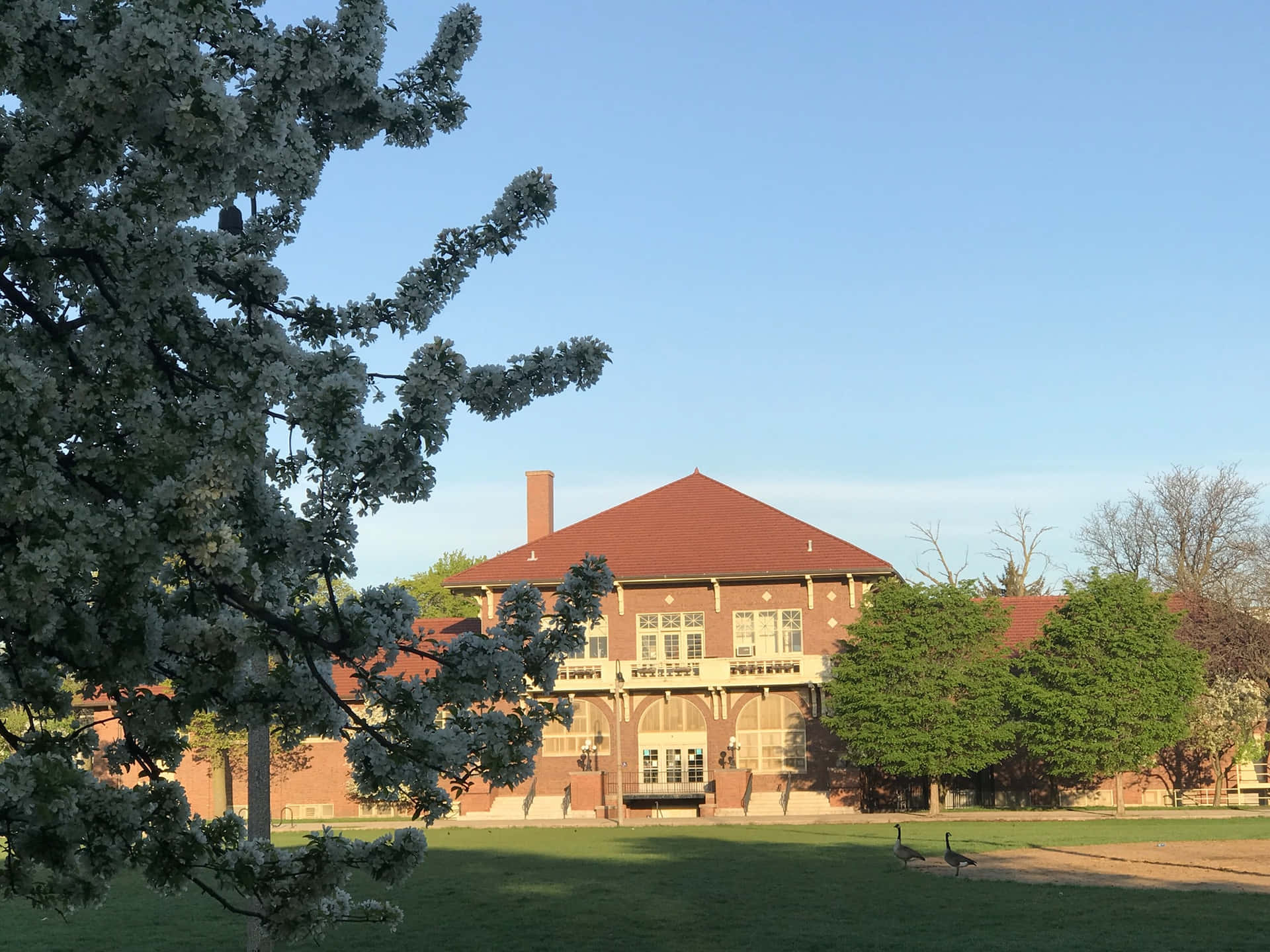 Springtimeat Independence Park Building