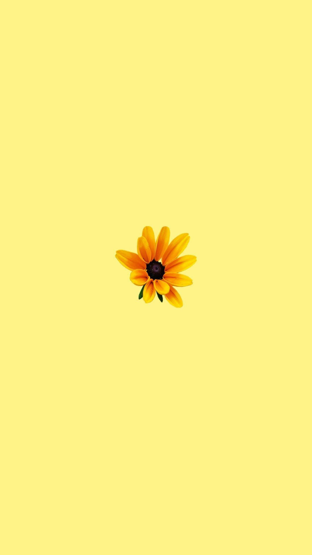 Sprinkle A Bit Of Sunshine In Your Life With A Cute Yellow Aesthetic Background