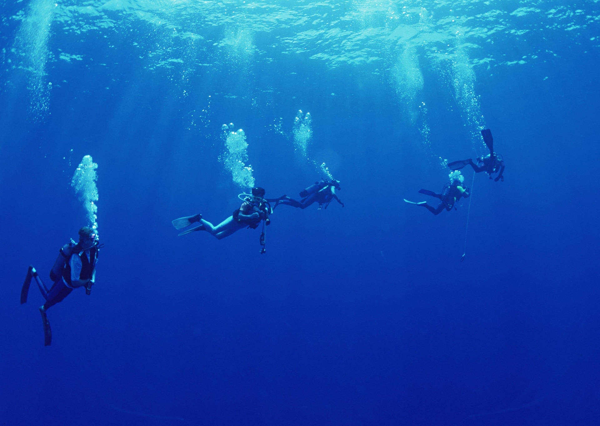 Squad Diving Scuba Divers Background