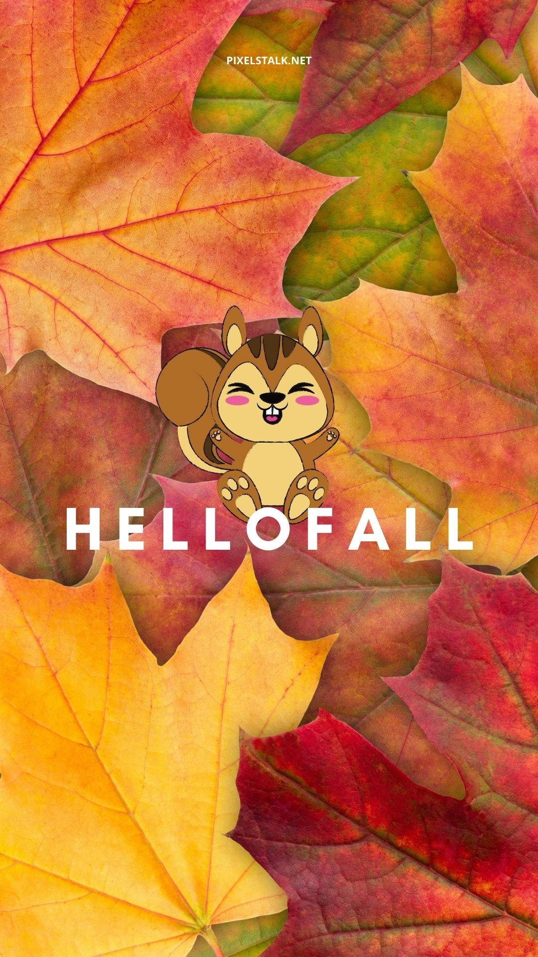 Squirrel Hello Fall Iphone Background