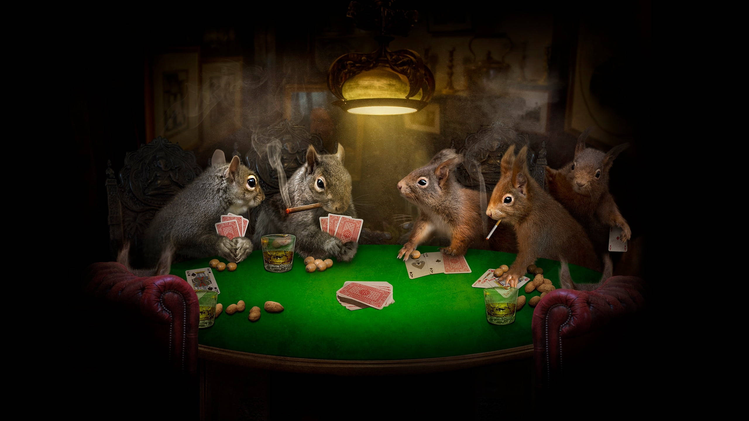 Squirrels Play Poker Background