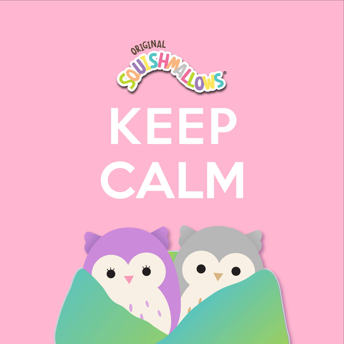 Squishmallows Owl Couple Cover Background