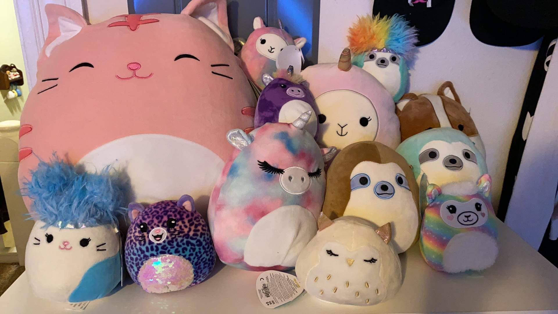 Squishmallows Toys Collection On Table Background