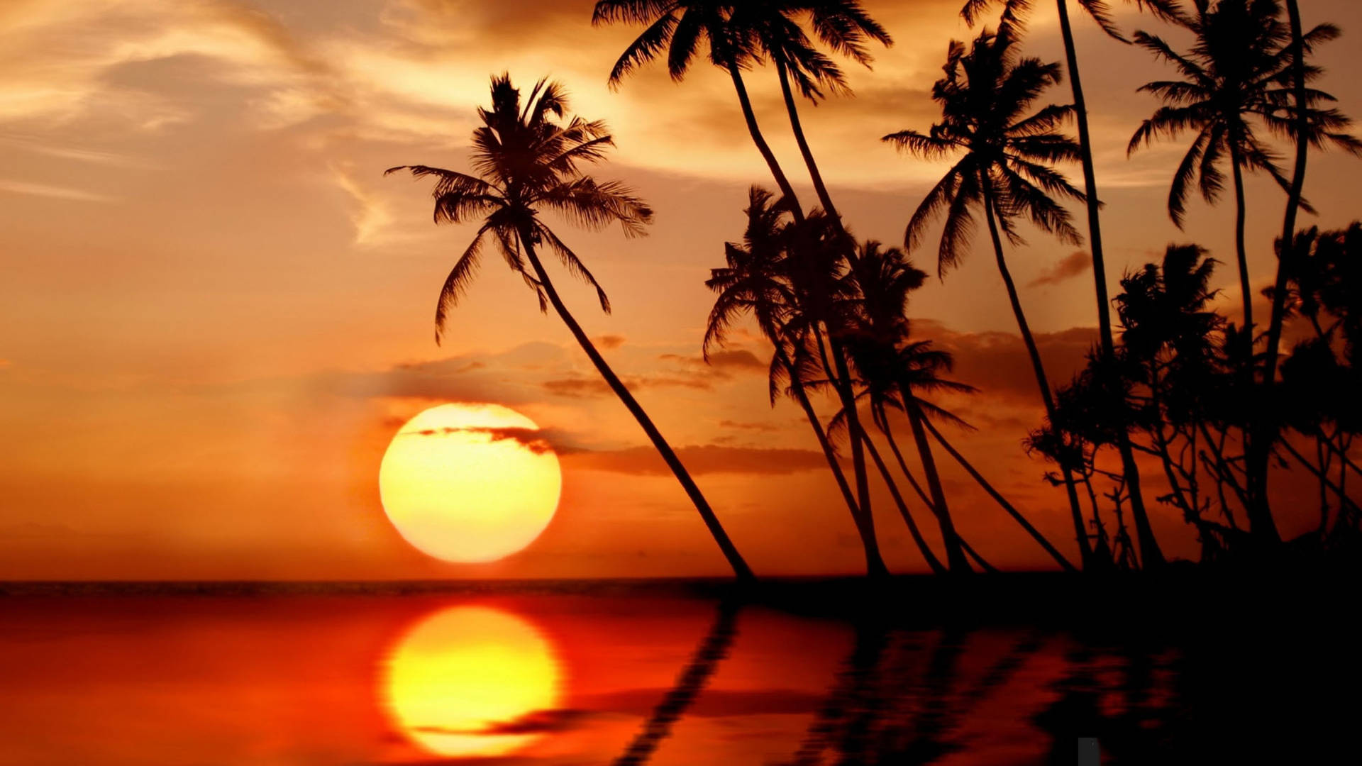 Sri Lanka Beautiful Sunset Background