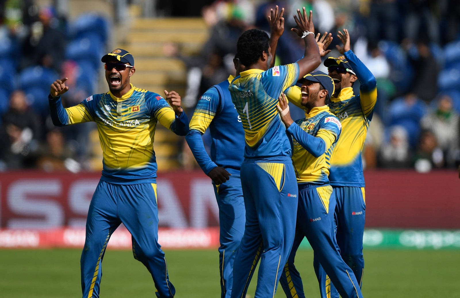 Sri Lanka Cricket Victory Snapshot Background