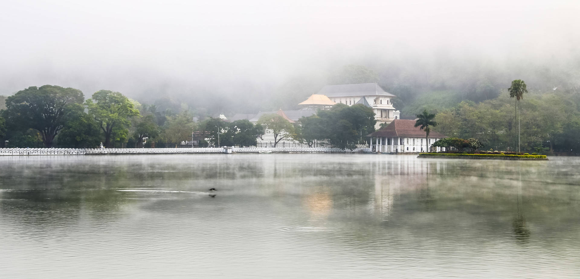 Sri Lanka Kandy Lake Mist Background