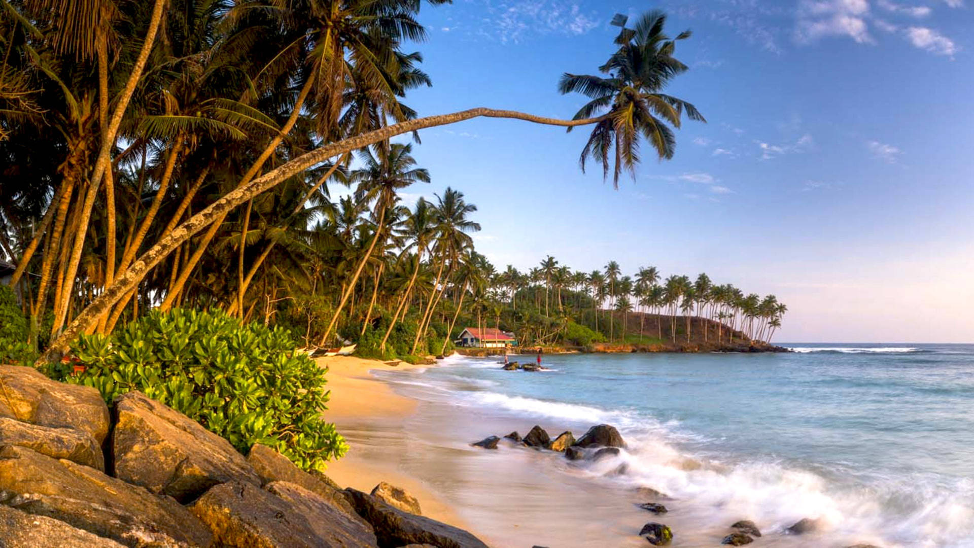 Sri Lanka Mirissa Beach Palms