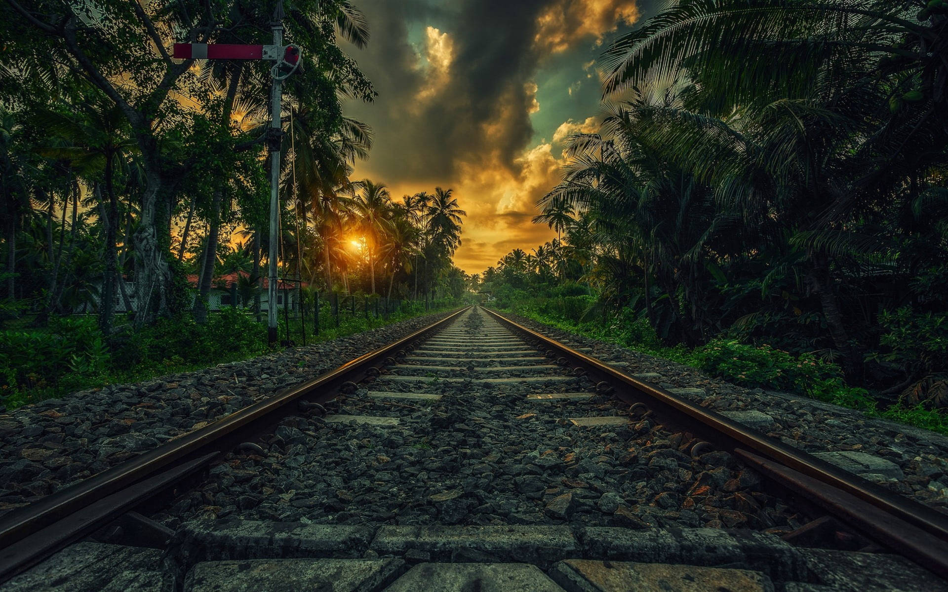 Sri Lanka Railway Palms Sunset Background