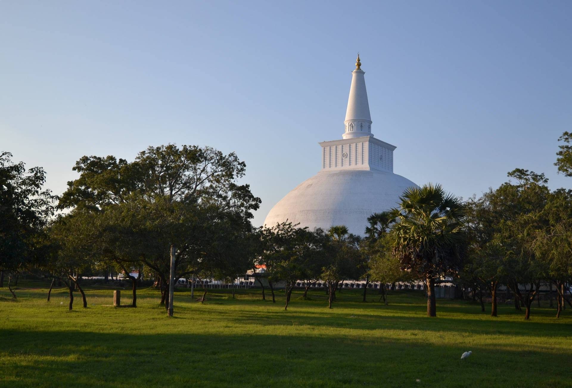 Sri Lanka Ruwanwelisaya Maha Seya Background