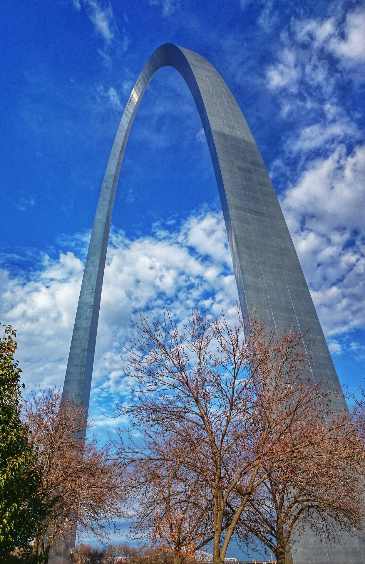 St. Louis Arch Trees Background