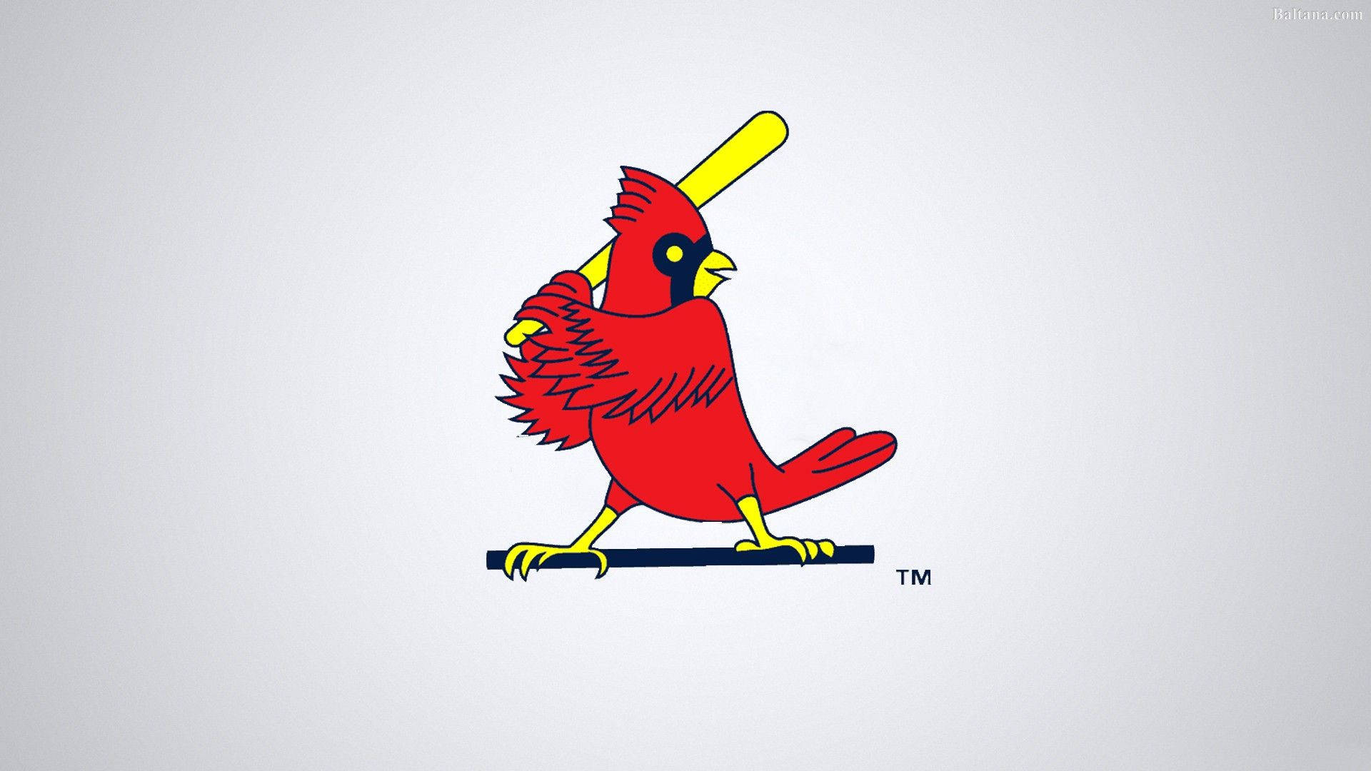 St Louis Cardinals Bird With Baseball Bat Background