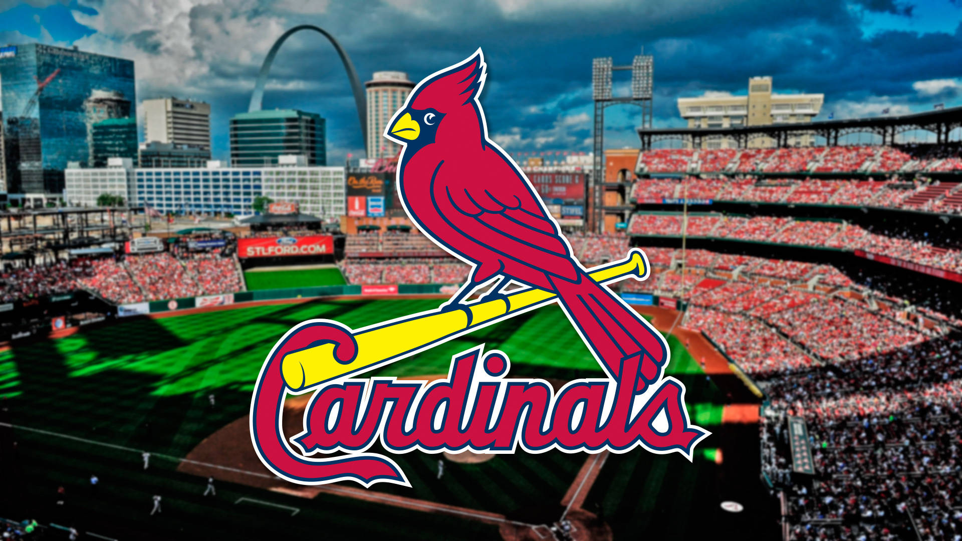 St Louis Cardinals Red Bird On Field Background