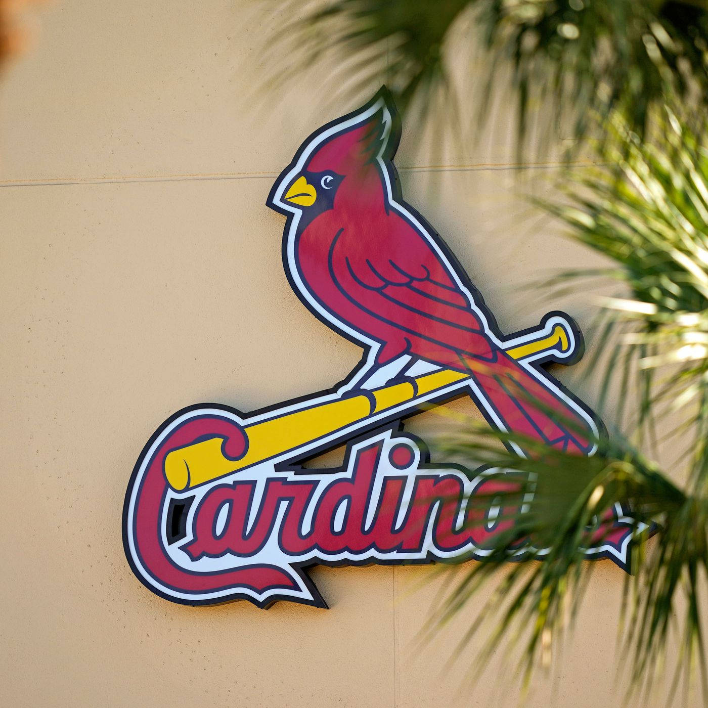 St Louis Cardinals Red Bird Signage Background