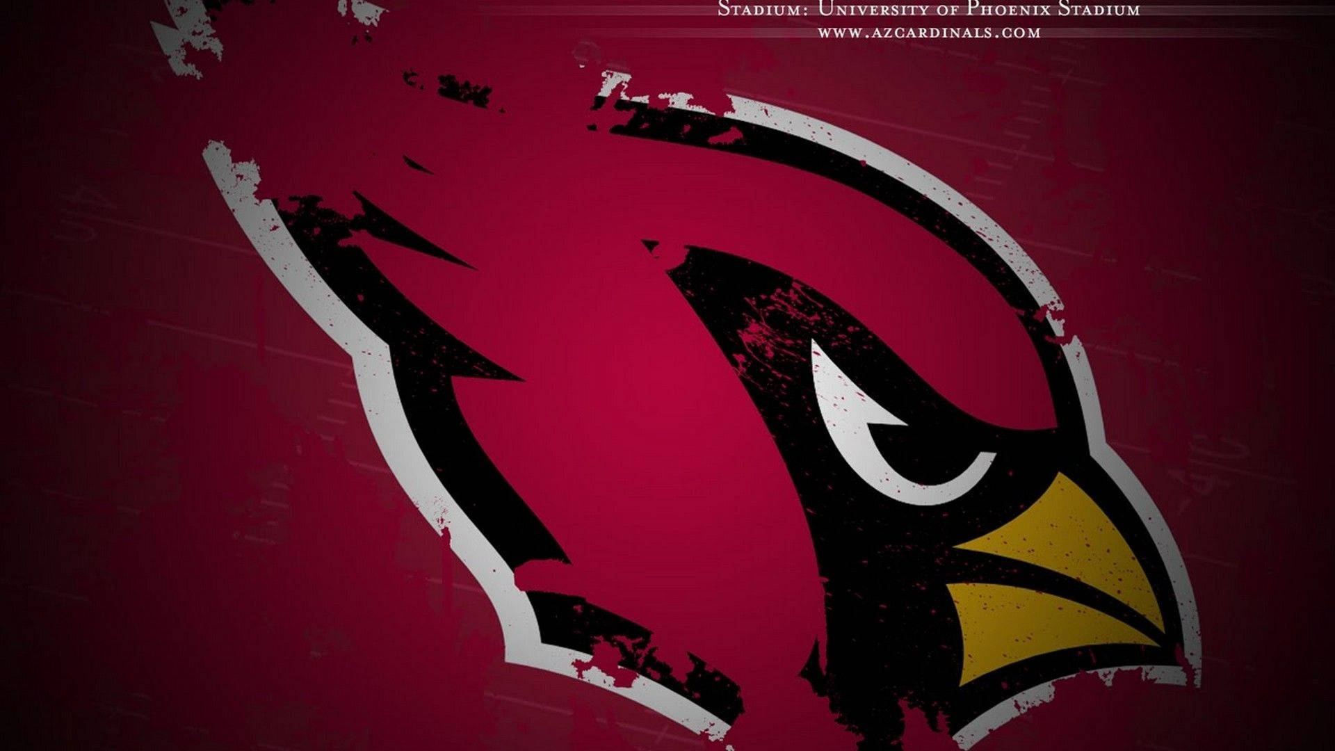 St Louis Cardinals Team Bird Logo Background