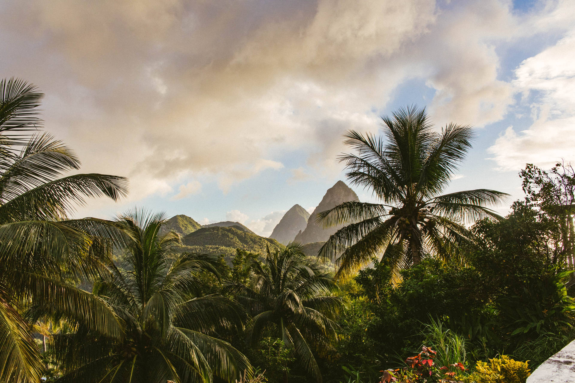 St Lucia Peaks And Palm Trees