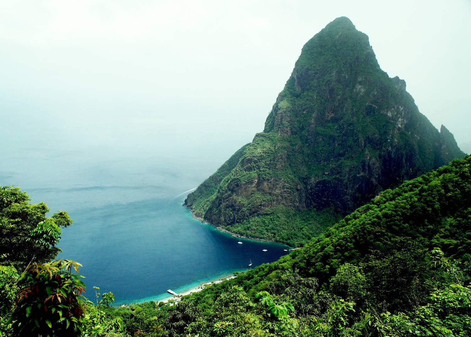 St. Lucia Petit Piton Background